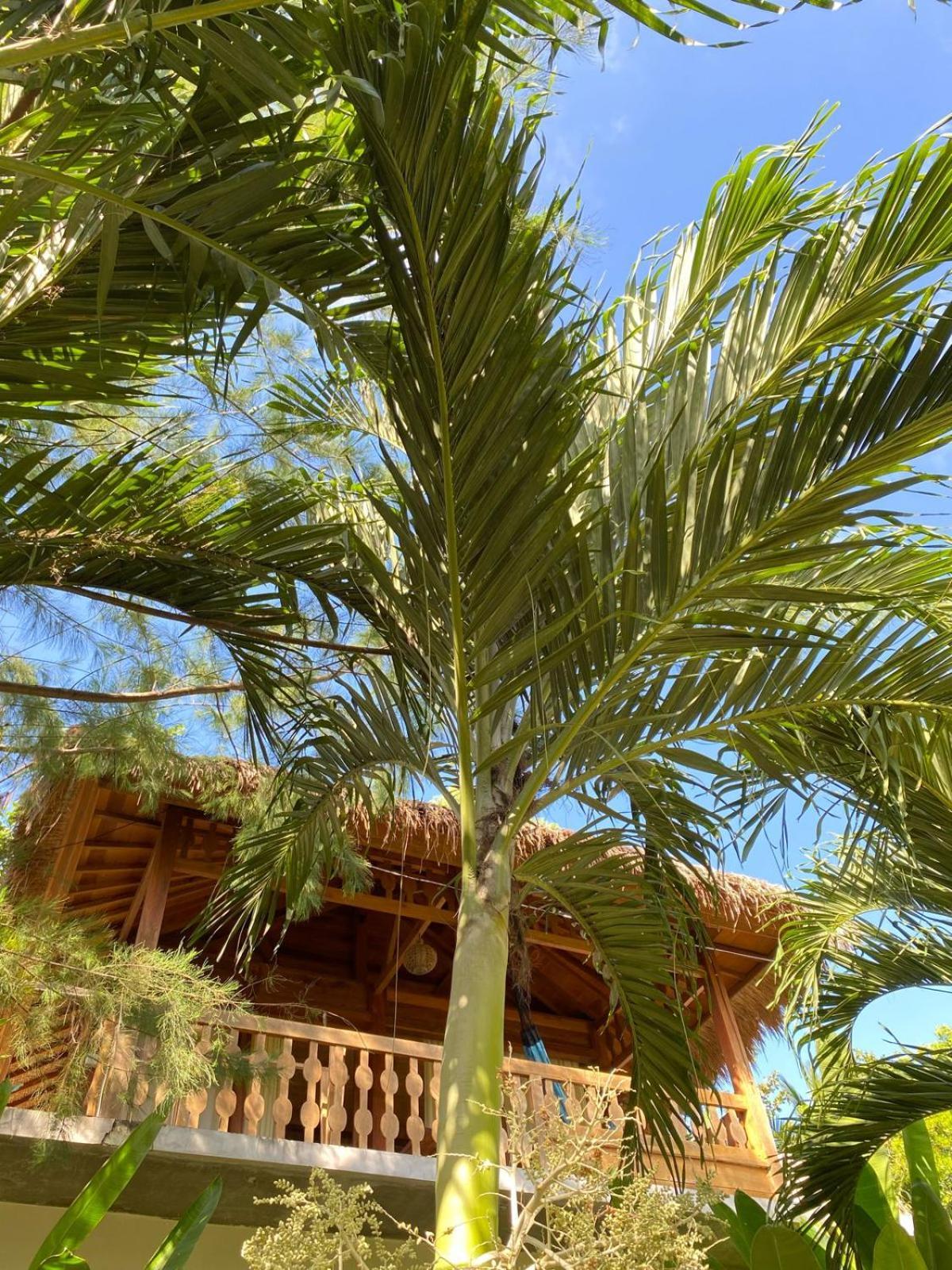 Palm Green Hotel Kuta (Lombok) Exterior foto