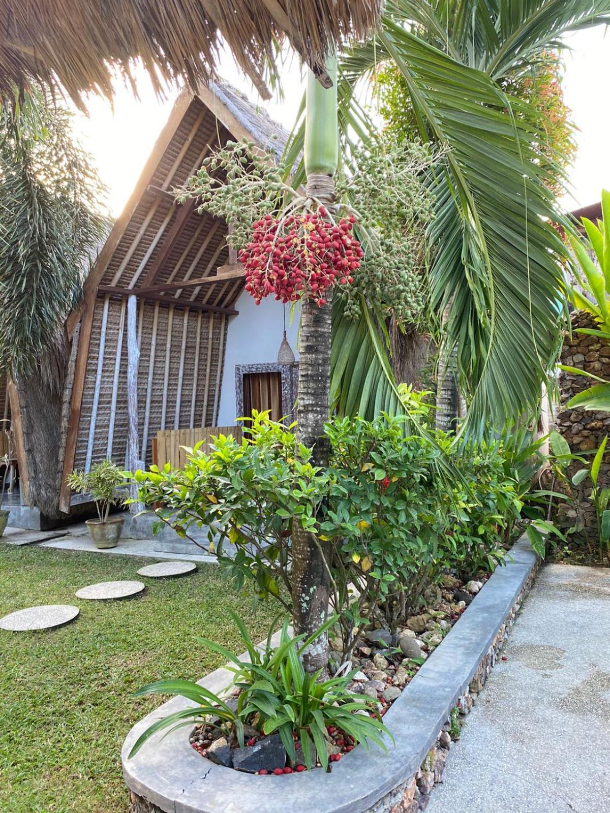 Palm Green Hotel Kuta (Lombok) Exterior foto