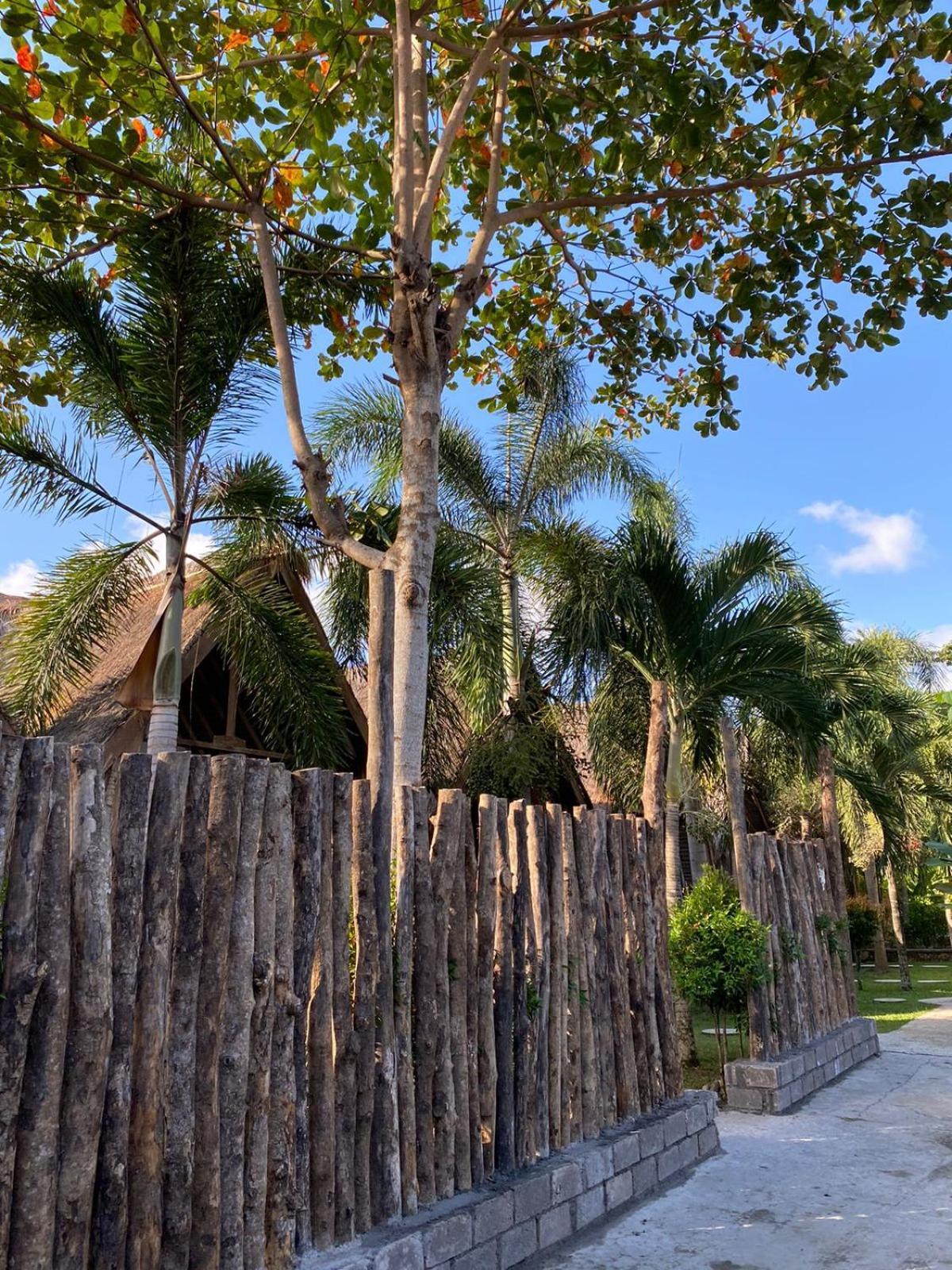 Palm Green Hotel Kuta (Lombok) Exterior foto